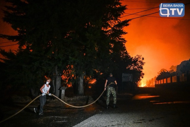 A view of the smoke-filled sky